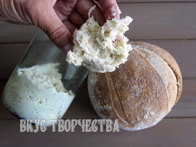 пшеничная закваска левито мадре пшеничная закваска левито мадре
