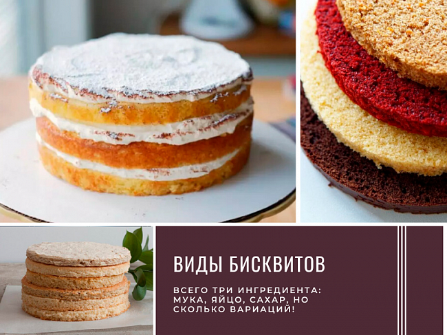 Виды бисквитов для тортов с подробным разбором рецептов.