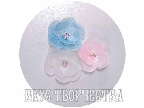 Вафельный цветок (НА) Вафельный цветок (НА)