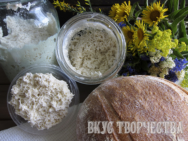 Выведение пшеничной закваски Левито Мадре 50% влажности с нуля в домашних условиях. Пошаговый рецепт с фото